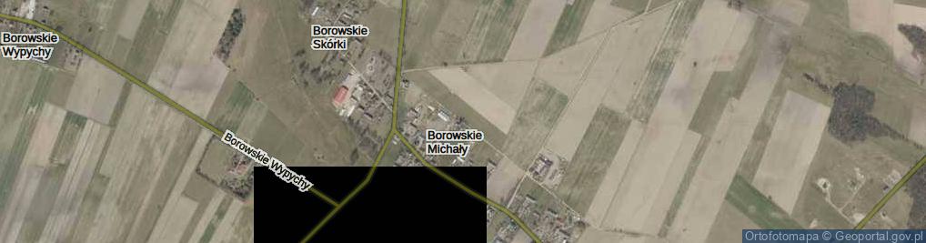 Zdjęcie satelitarne Borowskie Michały ul.